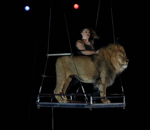 Летающий медведь и &laquo;Колесо смелости&raquo;: нижегородский цирк приглашает в &laquo;Звездный круиз&raquo; (ФОТО) - фото 54
