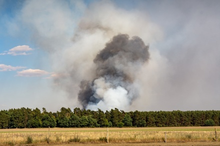 Чрезвычайная пожароопасность угрожает Нижегородской области 