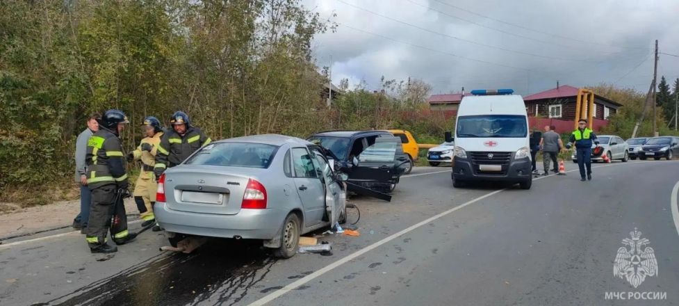 МЧС опубликовало фото с места смертельного ДТП в Нижегородской области - фото 3