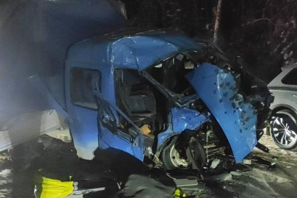 Два водителя пострадали в жестком ДТП на трассе в Нижегородской области