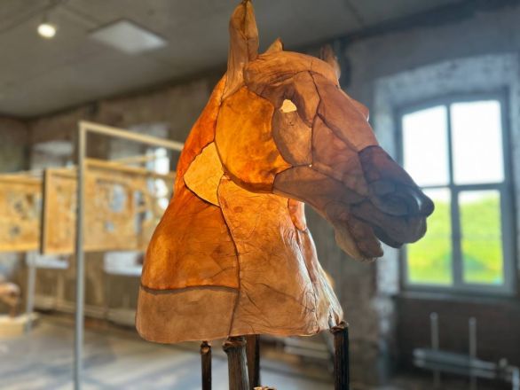 «Кожа Земли»: в Нижнем Новгороде проходит первая международная ЭкоБиеннале - фото 10