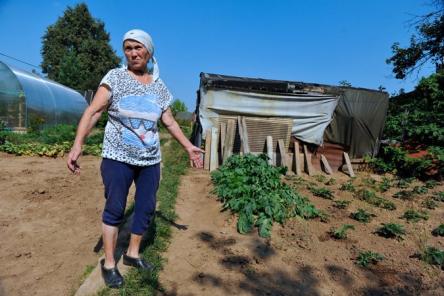 Садоводов России ждет сюрприз с начала сезона 2019 года