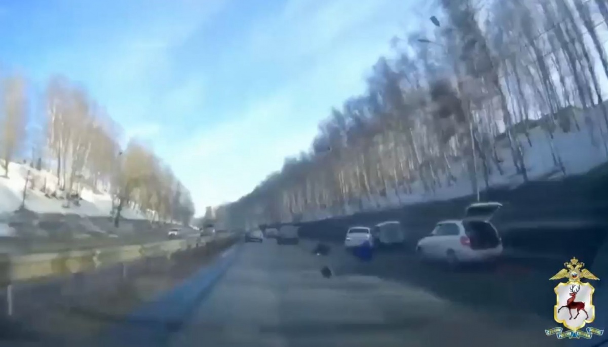 Иностранец пытался сбежать с места смертельного ДТП в Нижнем Новгороде - фото 1