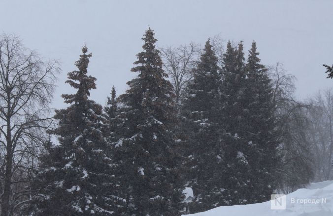 Снежный циклон &laquo;Валли&raquo; обрушился на Нижний Новгород: фоторепортаж - фото 22