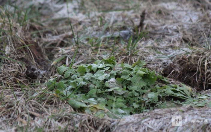 Самые снежные и морозные зимы в Нижнем Новгороде: какими они были - фото 24