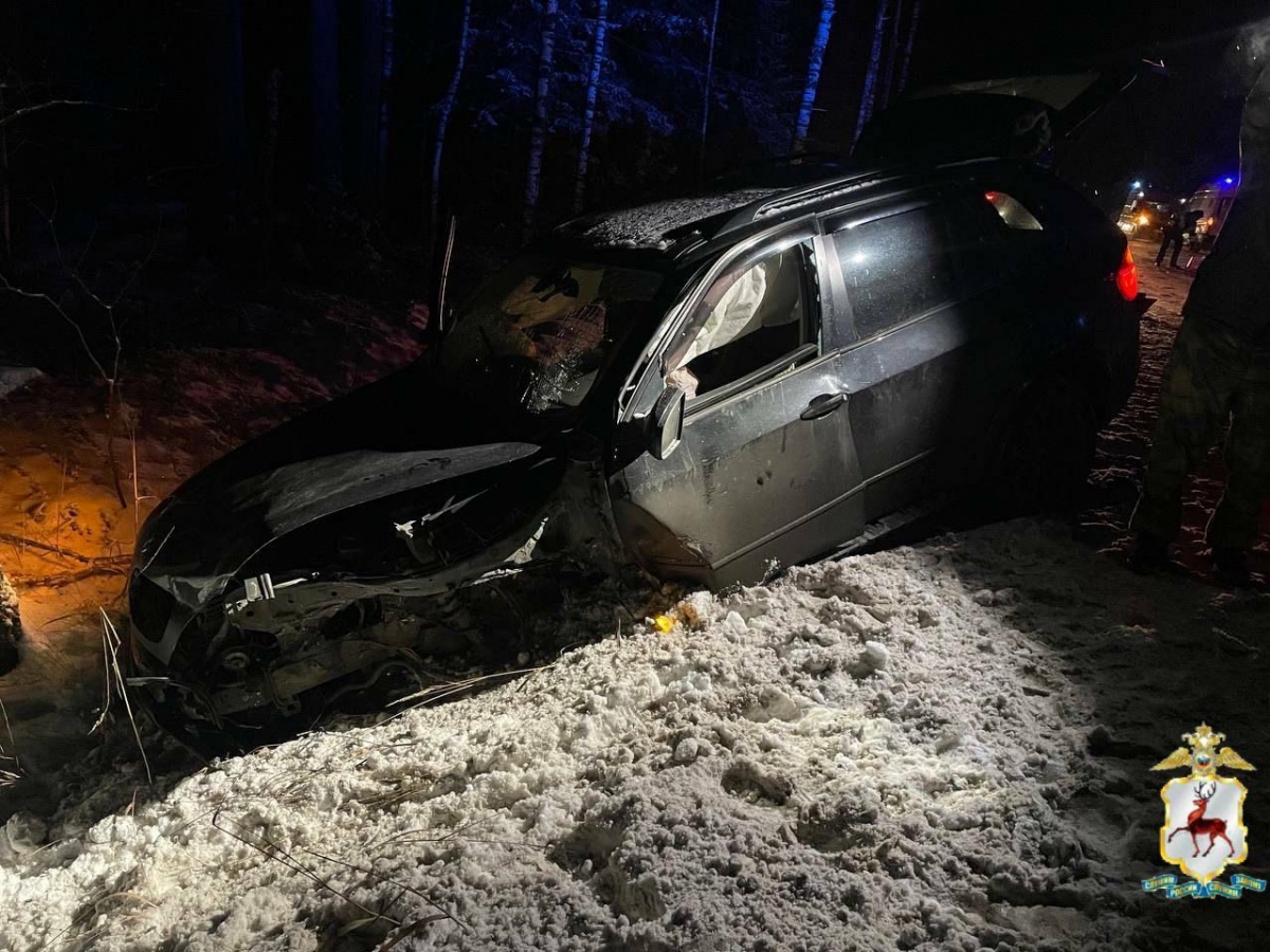 Мужчина погиб в массовом ДТП на трассе в Нижегородской области - фото 1