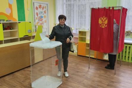 Нижегородский избирком рассказал о явке на выборы на 15:00 9 сентября