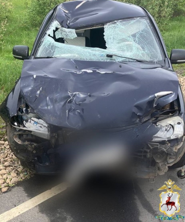 Прокуратура заинтересовалась гибелью подростка в ДТП в Нижегородской области - фото 1