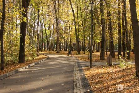 Гидрометцентр опубликовал прогноз на сентябрь в Нижегородской области
