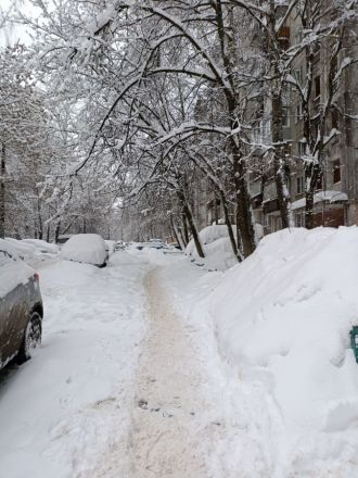 «Сугробы по шею». Показываем, что творится сейчас во дворах Нижнего Новгорода - фото 5