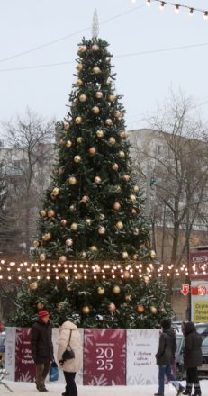 Пингвины, карусель и лунный каток: карта самых атмосферных новогодних локаций Нижнего Новгорода - фото 154