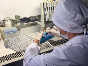 Больше сотни нижегородцев пострадали от нападения клещей