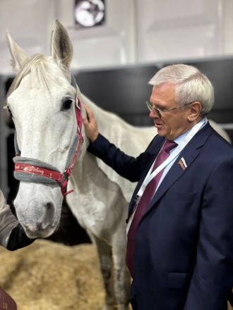 Более 40 нижегородских предприятий приняли участие в выставке &laquo;Золотая осень&raquo; - фото 6