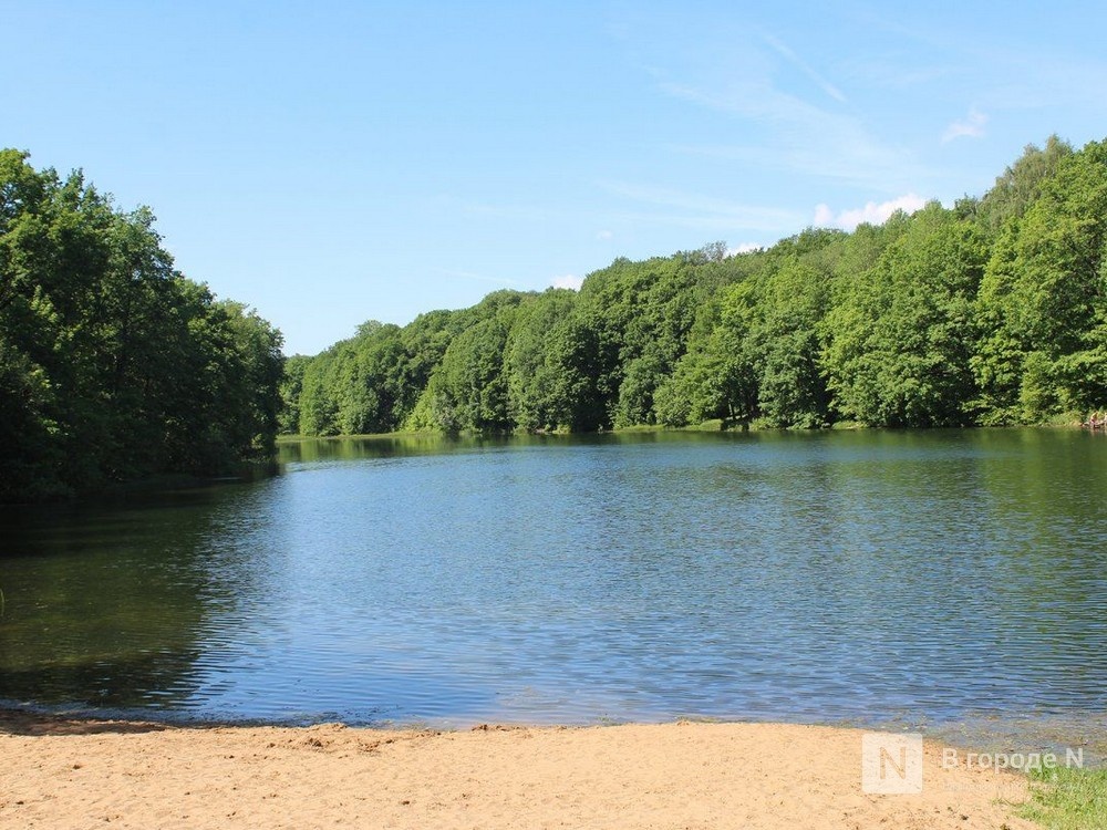 Опубликован прогноз погоды на июль в Нижнем Новгороде - фото 1