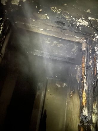 Три человека погибли на пожаре под Бором - фото 3