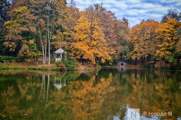 Та самая пушкинская осень: уютный фоторепортаж из Большого Болдина