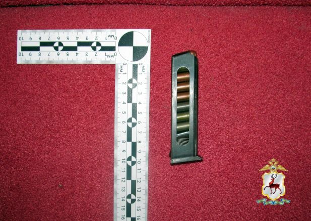 Нижегородец хранил дома переделанный пистолет и патроны - фото 2