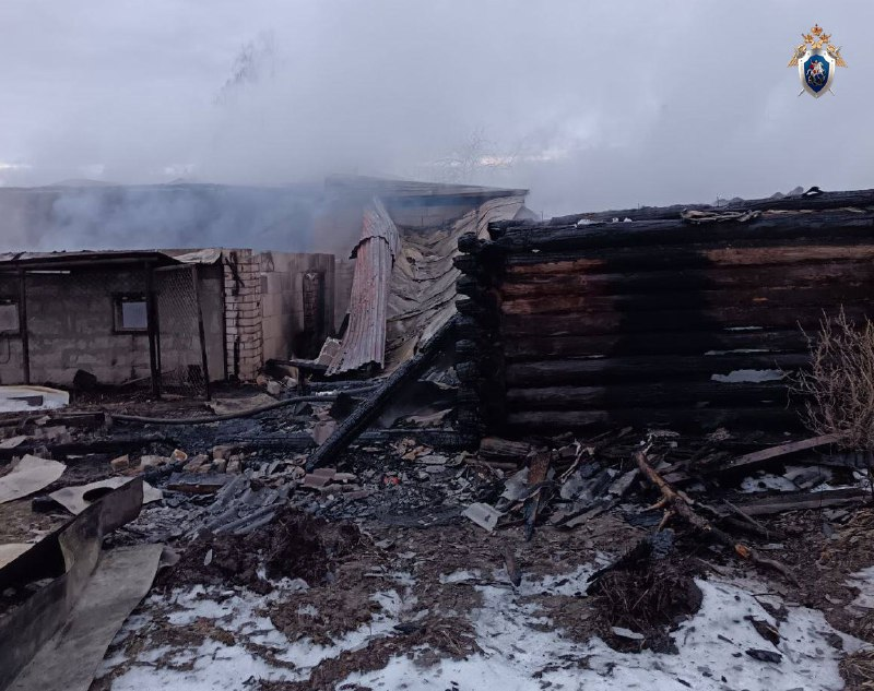 Уголовное дело возбуждено из-за гибели двух человек на пожаре на Бору - фото 1