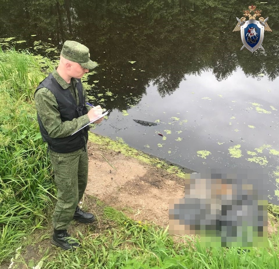 СК выясняет обстоятельства гибели 5-летнего мальчика в реке в Борском районе - фото 1