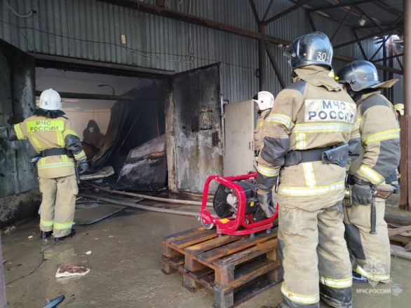 Крупный пожар случился ночью на складе в Сормовском районе - фото 3