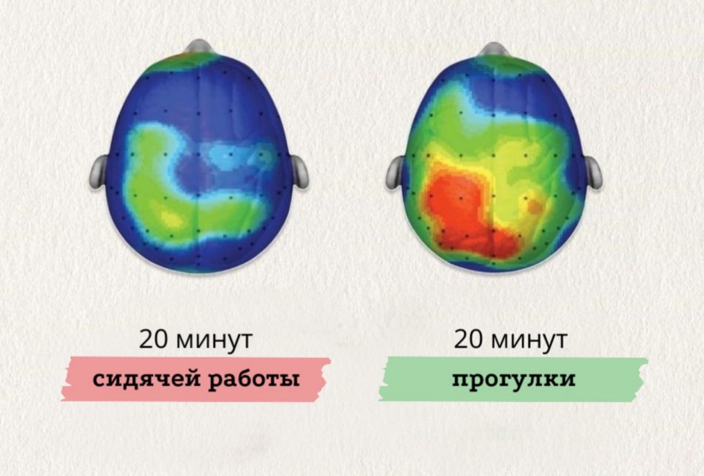 Нижегородцам напомнили о пользе прогулок для работы мозга - фото 2