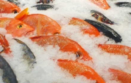 Цена на свежемороженую рыбу снизилась в Нижегородской области