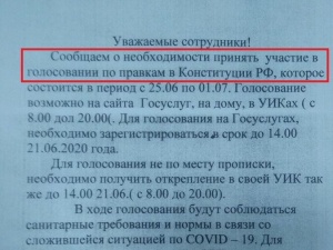 Соцсети: шахунских учителей просят отчитываться о голосовании по Конституции