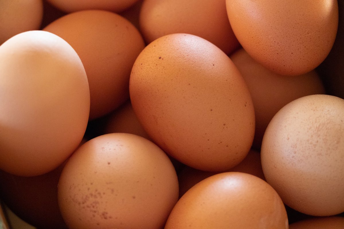 Какие яйца полезнее &mdash; куриные или перепелиные? - фото 1