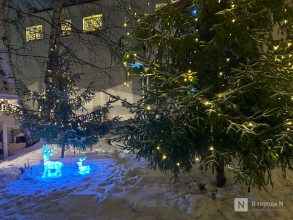 Фоторепортаж: как прошло католическое Рождество в Нижнем Новгороде - фото 50