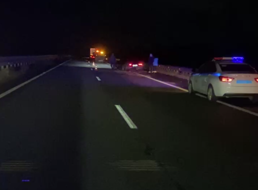 Четыре человека ранены в ДТП с уснувшим водителем в Нижегородской области - фото 1