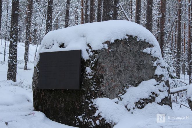 Каньон, марморики и калитки: нижегородка рассказала о плюсах и минусах отдыха в Карелии зимой - фото 29