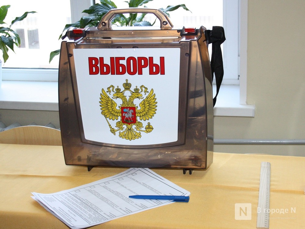Выборы депутатов пройдут в Нижегородской области в сентябре - фото 1