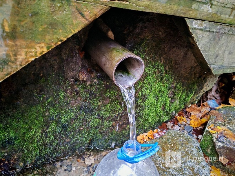 Та самая пушкинская осень: уютный фоторепортаж из Большого Болдина - фото 40