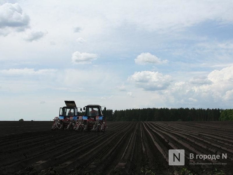 Нижегородские аграрии получат средства на проведение посевной в срок - фото 1