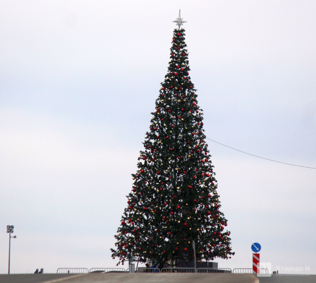 Главную новогоднюю елку установили в Нижнем Новгороде - фото 1