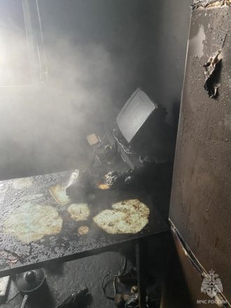 Труп неизвестного мужчины нашли после пожара в Нижегородской области - фото 1