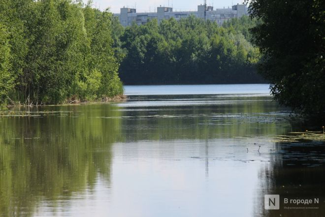 И здесь будут высотки: как выглядит площадка под КРТ в Бурнаковской низине - фото 54