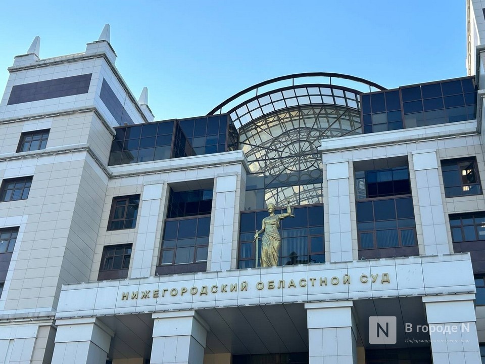 ВККС одобрила Елену Ендовицкую на должность председателя Нижегородского облсуда - фото 1