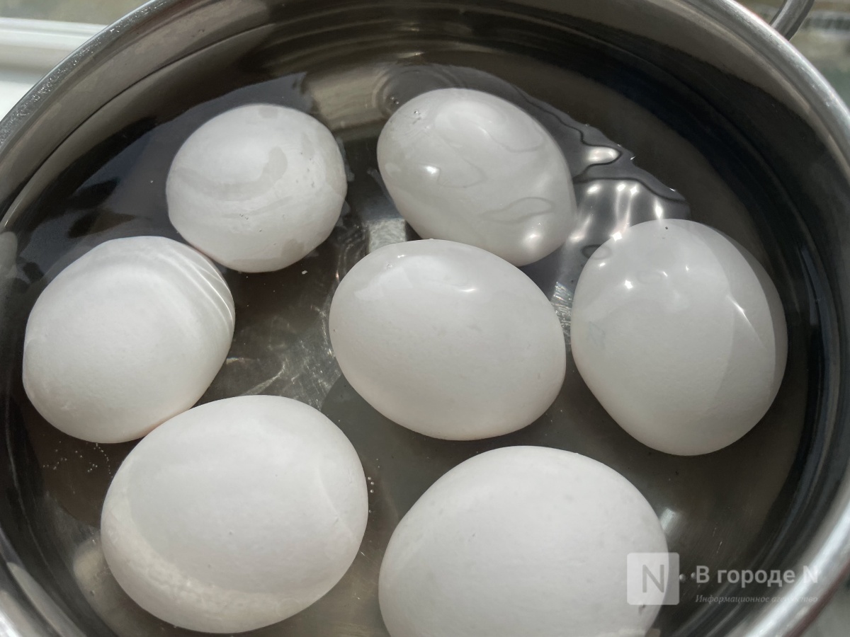 Комплекс по производству и переработке яиц появится в Нижегородской области