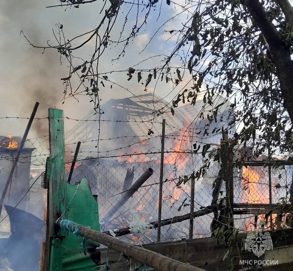 Крупный пожар вспыхнул в садовом товариществе в Нижнем Новгороде - фото 1