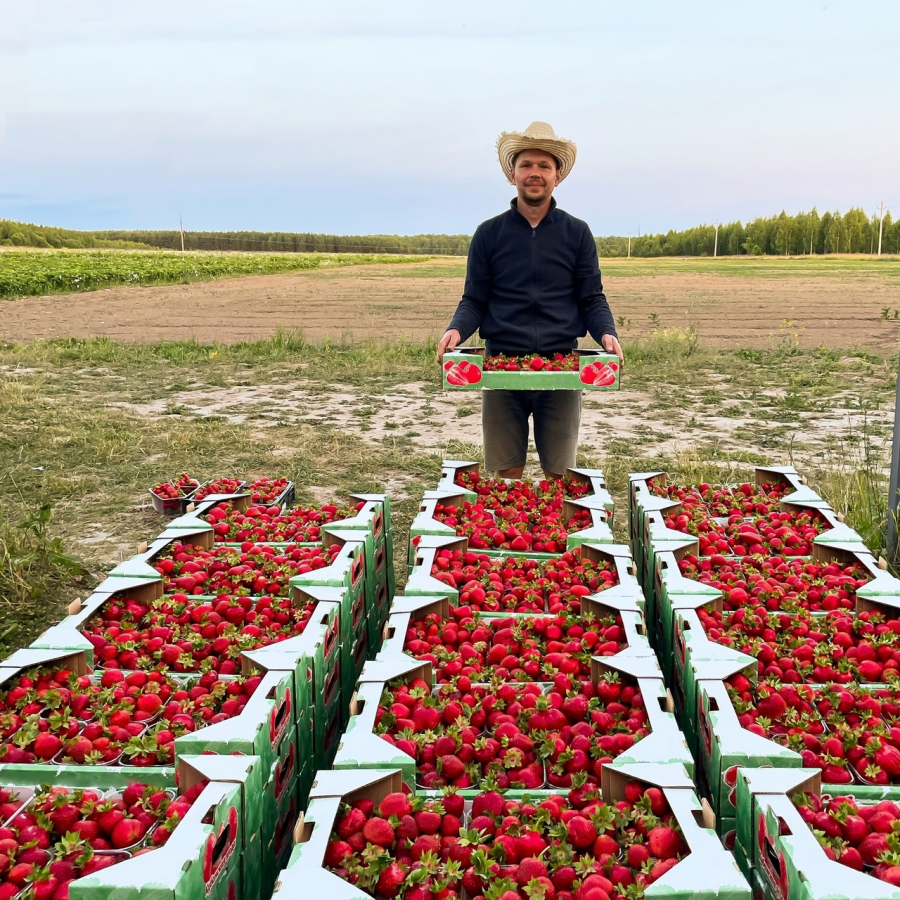 Нижегородец получил 350 тысяч рублей на выращивание клубники - фото 1