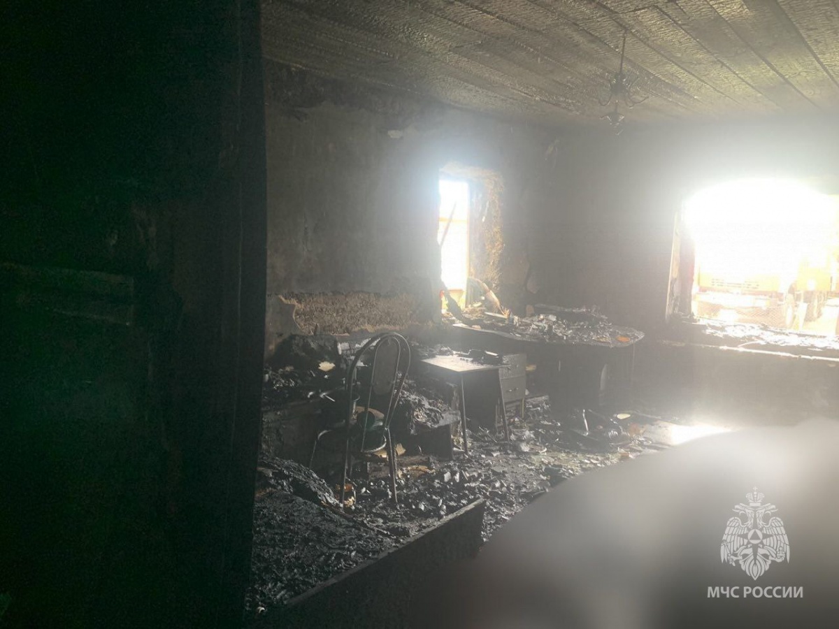 Женщина погибла в горящем доме в Сергаче - фото 1