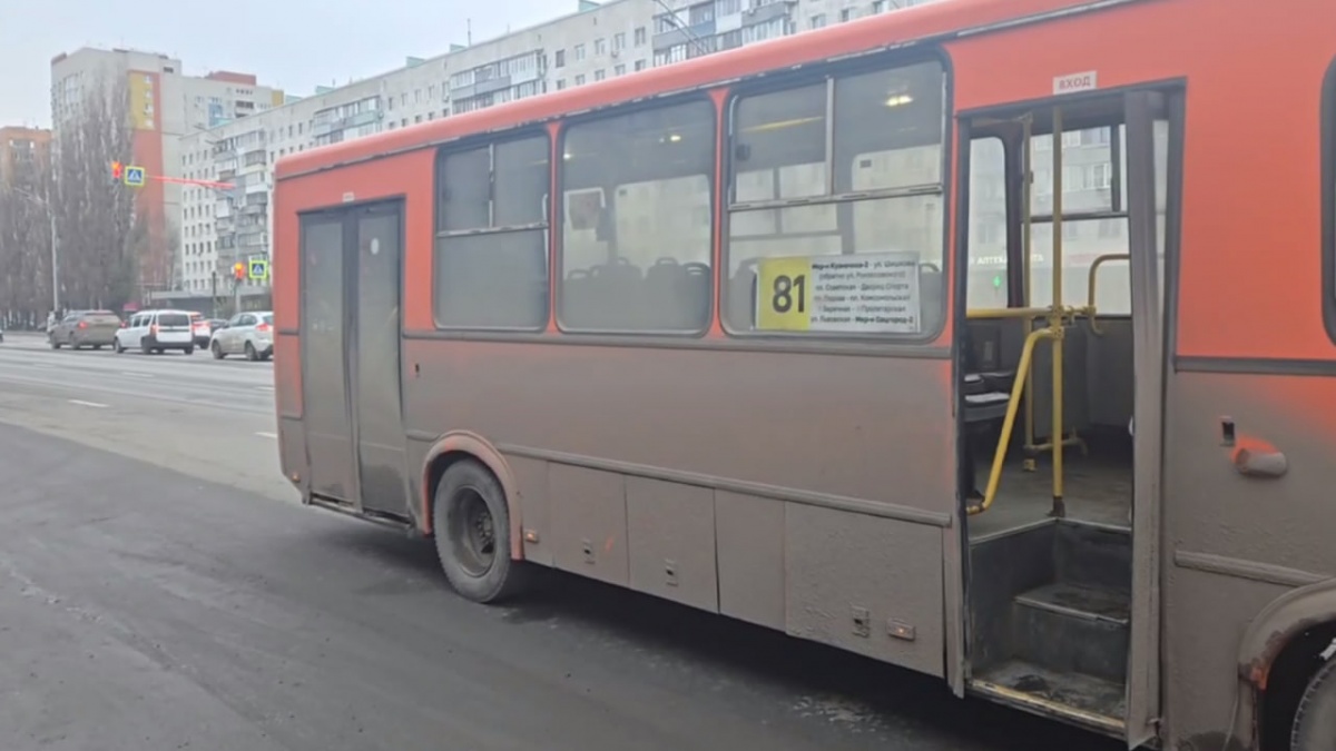 Автобус сбил курьера на переходе на проспекте Ленина в Нижнем Новгороде - фото 1