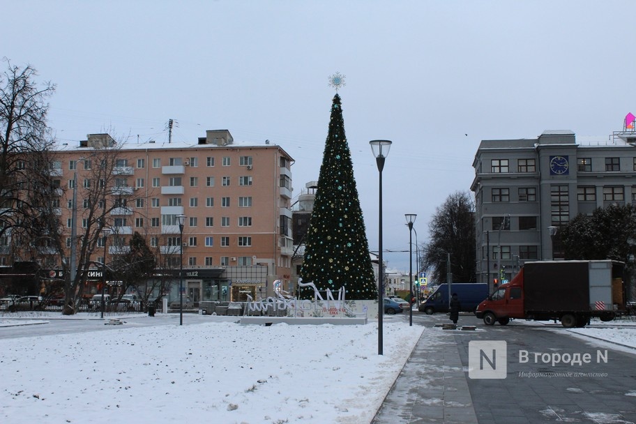 Новогоднюю елку установили на площади Горького в Нижнем Новгороде - фото 1