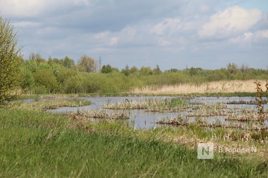 Создание природного парка в Артемовских лугах обойдется в 4 млн рублей - фото 1