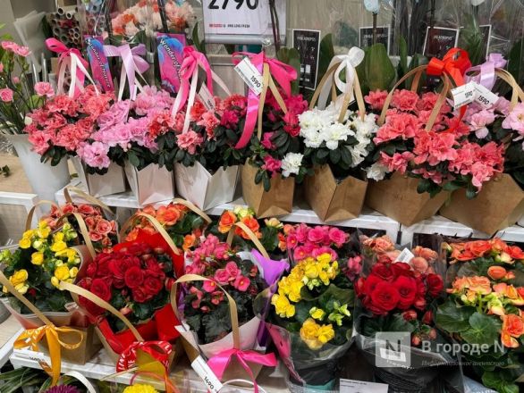 Мужчины, готовьтесь. Рассказываем, сколько стоят цветы к 8 марта в Нижнем Новгороде - фото 95