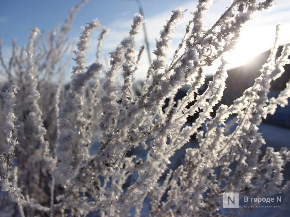 Аномальные морозы ударят в Нижегородской области в ближайшие дни