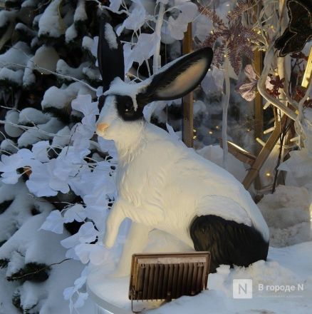 Кролики, олени, снеговики: карта самых атмосферных новогодних локаций Нижнего Новгорода - фото 18