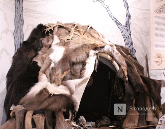 Ледниковый период по-нижегородски: палеонтологическая выставка открылась в Кремле - фото 14