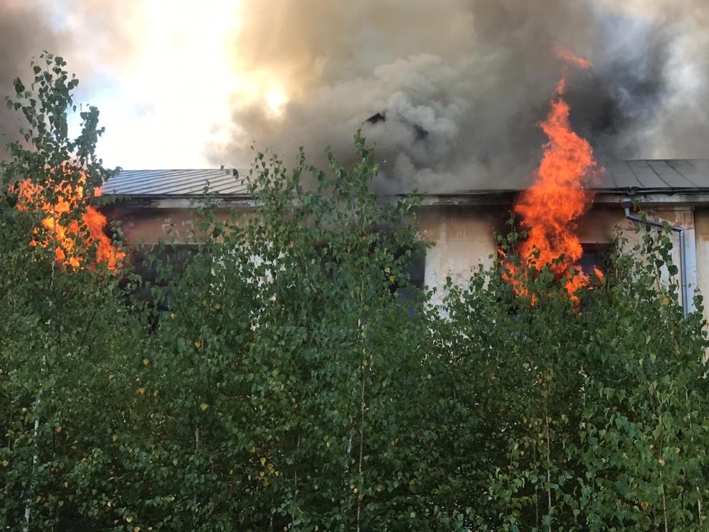 Заброшенное здание горит в Богородске - фото 1